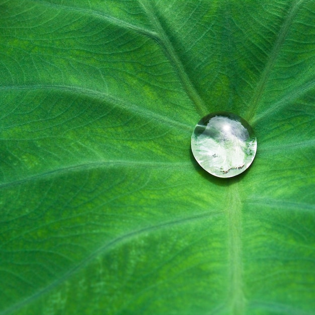 Hintergrund Frühling Reflexion saubere Umwelt