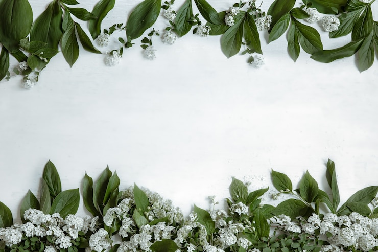 Kostenlose Foto hintergrund mit natürlichen blättern und zweigen von blumen isoliert
