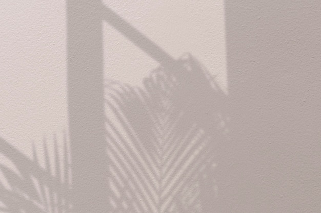 Hintergrund mit Palme und Fensterschatten