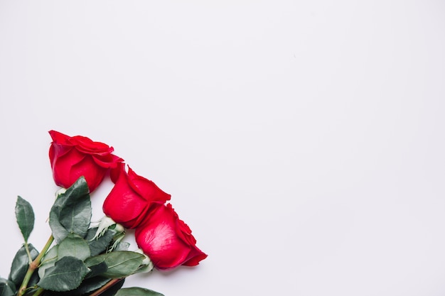 Kostenloses Foto hintergrund mit rosen unten links