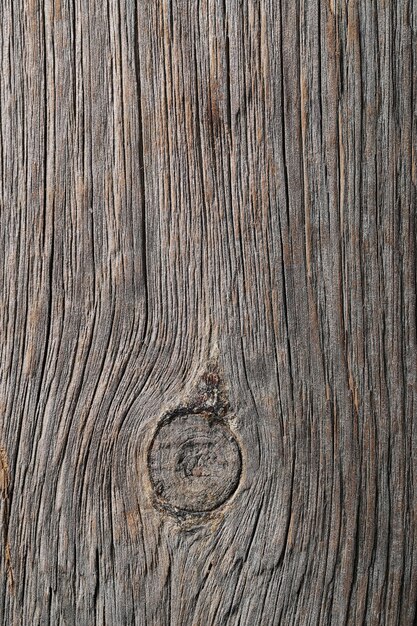 Hintergrund, Textur. Holz in Nahaufnahme