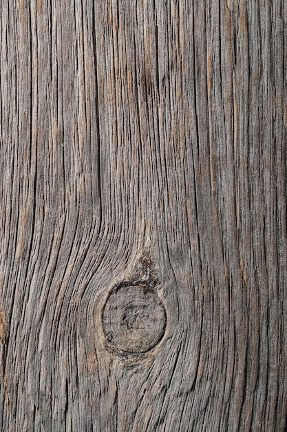 Hintergrund, Textur. Holz in Nahaufnahme