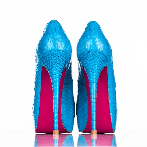 Hochabsatzschuh der modischen Frau lokalisiert auf weißem Hintergrund. Schöner blauer weiblicher High Heels Schuh. Luxus. Rückansicht von Frauen-High-Heels-Schuhen