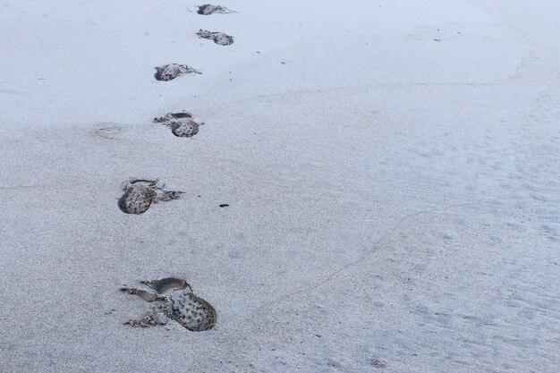 Hochwinkelaufnahme der Fußabdrücke einer Person auf dem schneebedeckten Boden