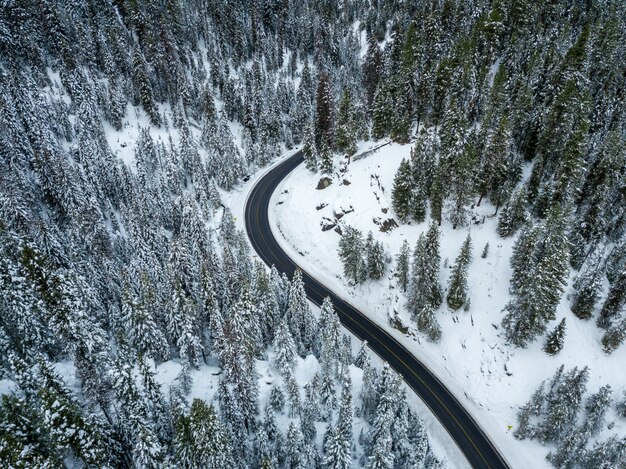 Hochwinkelaufnahme einer kurvenreichen Autobahn in einem mit Schnee bedeckten Fichtenwald im Winter