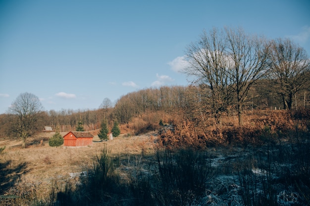 Hochwinkelaufnahme eines einsamen Hauses mit orangefarbenen Wänden in den Bergen mit kahlen Bäumen im Winter