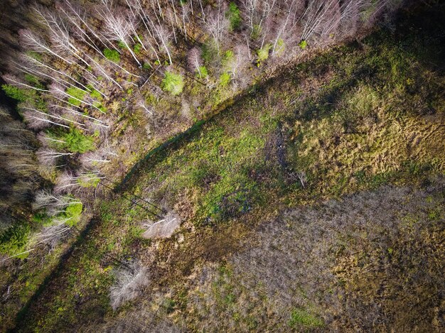 Hochwinkelaufnahme eines Feldes, das aufgrund von Wetteränderungen teilweise trocken geworden ist