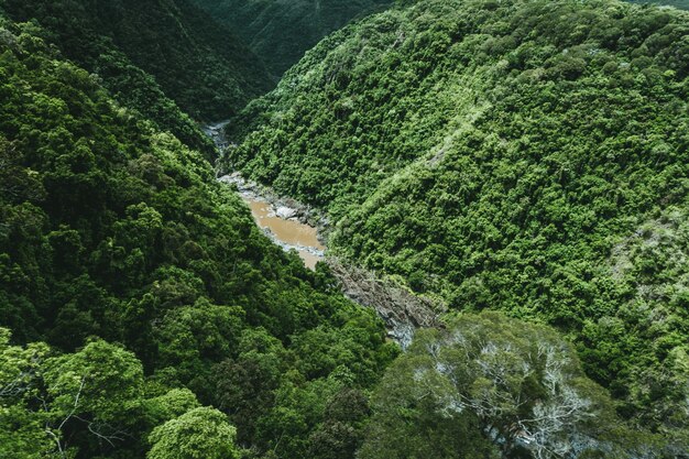 Hochwinkelaufnahme eines schlammigen Flusses zwischen den grünen Bergen an einem hellen sonnigen Tag