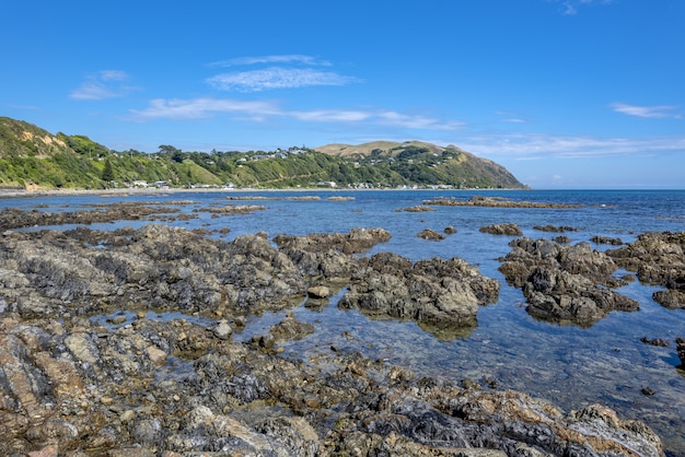 Hochwinkelaufnahme von Felsformationen im Wasser der Pukerua Bay in Neuseeland