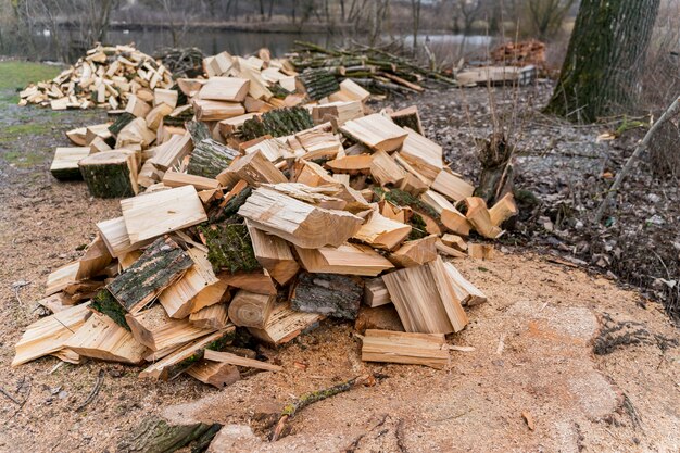 Hochwinkelholz für Lagerfeuer