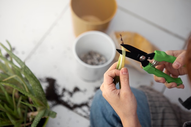 Hochwinkelige Handschneideanlage mit Schere