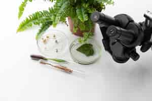 Kostenloses Foto hochwinkelpflanzen und mikroskop