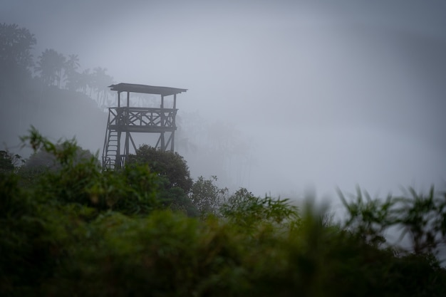 Hölzerner wachturm im dschungel, umgeben von mystischem nebel.