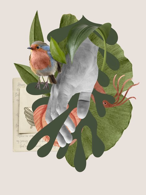 Hörsinn und Vogelcollage