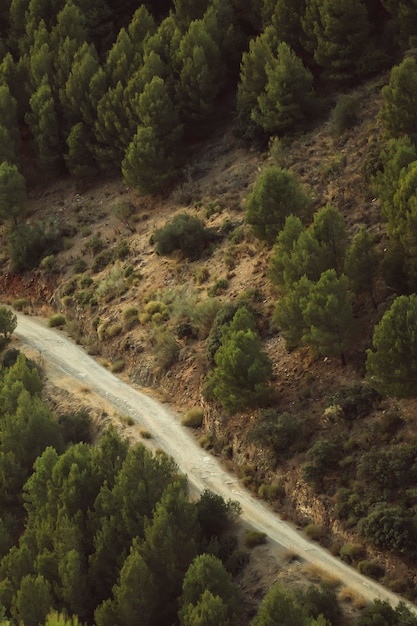 Hohe Ansicht einer Straße zwischen Naturlandschaft