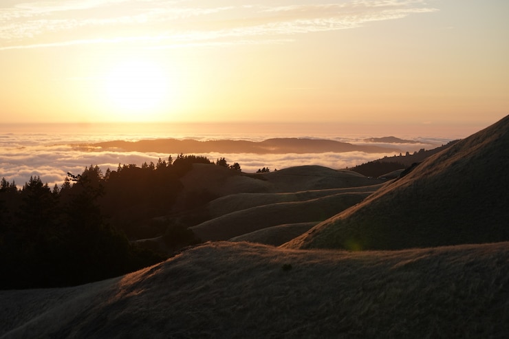 Kostenlose Foto hohe hügel mit wald und einer sichtbaren skyline bei sonnenuntergang auf dem berg. tam in marin, ca.