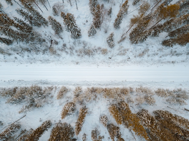 Hohe Winkelansicht einer schneebedeckten Straße, umgeben von den in Finnland gefangenen Bäumen