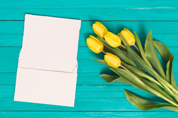 Hohe Winkelsicht der gelben Tulpe blüht mit weißem leerem Papier auf grünem Schreibtisch