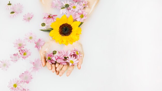 Hohe Winkelsicht der Hand einer Frau mit den gelben und rosa Blumen im klaren Wildwasser