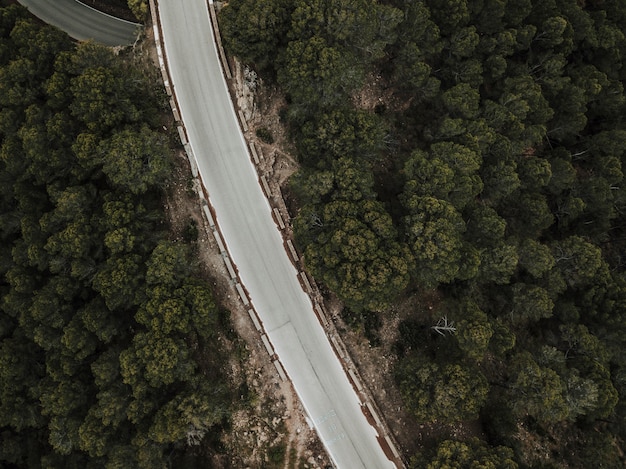 Hohe Winkelsicht der leeren Straße in der Waldlandschaft