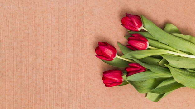 Hohe Winkelsicht der roten Tulpe blüht auf braunem strukturiertem Hintergrund