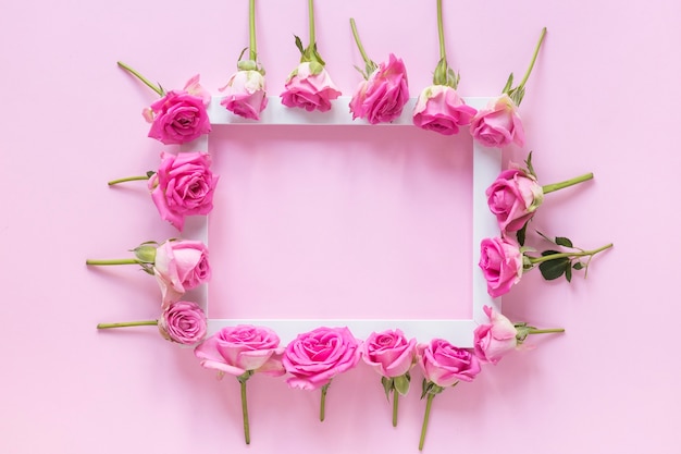 Hohe Winkelsicht von den rosa Blumen, die Rahmen auf rosa Hintergrund umgeben