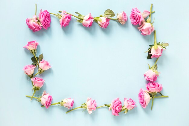 Hohe Winkelsicht von den rosa Rosen, die Rahmen auf blauem Hintergrund bilden