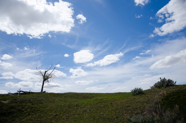 Hoher Hügel bedeckt mit Gras und Bäumen unter dem bewölkten blauen Himmel