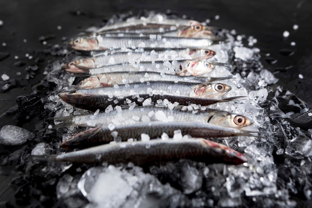 Kostenloses Foto hoher winkel von kleinen fischen auf eiswürfeln