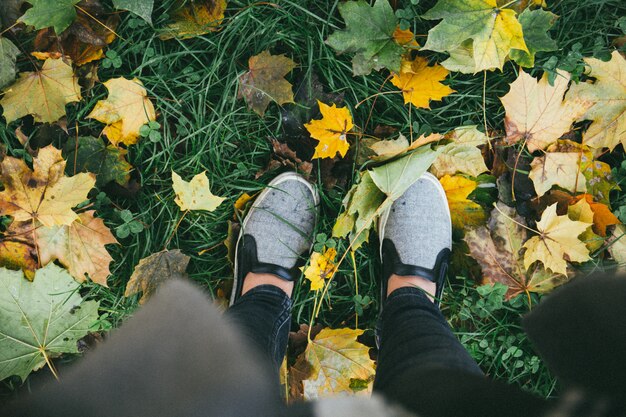 Hoher Winkelschuss einer Person, die auf dem Gras mit gelbem Herbstlaub steht