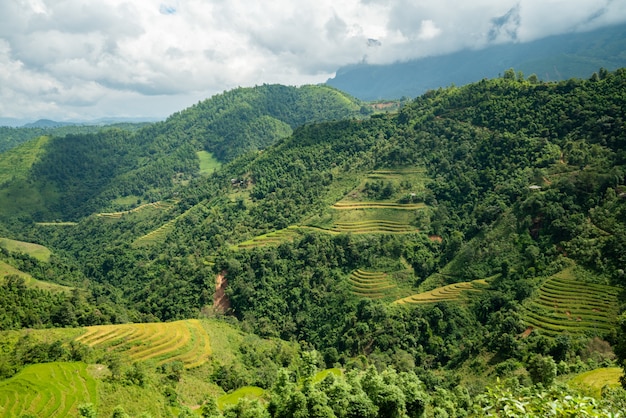 Hoher Winkelschuss einer schönen grünen Landschaft mit hohen Bergen unter dem bewölkten Himmel in Vietnam