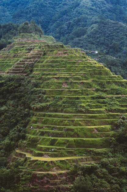 Hoher Winkelschuss einer schönen Landschaft in Banaue-Reisterrassen, Ifugao-Provinz, Philippinen