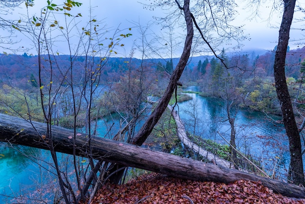 Hoher Winkelschuss eines hölzernen Weges im Nationalpark Plitvicer Seen in Kroatien