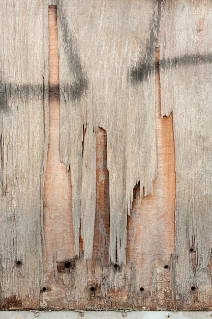 Holz hacken mit Löchern und Sprühfarbe