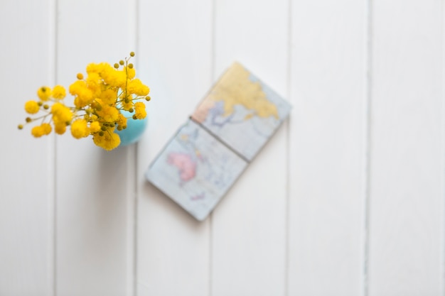 Holz Hintergrund mit gelben Blüten und Weltkarte