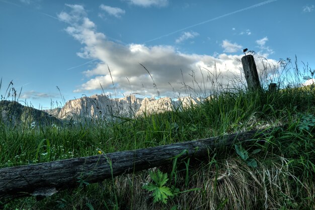 Holz Log auf Gras