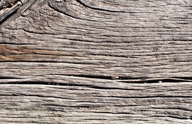 Holz warme Textur