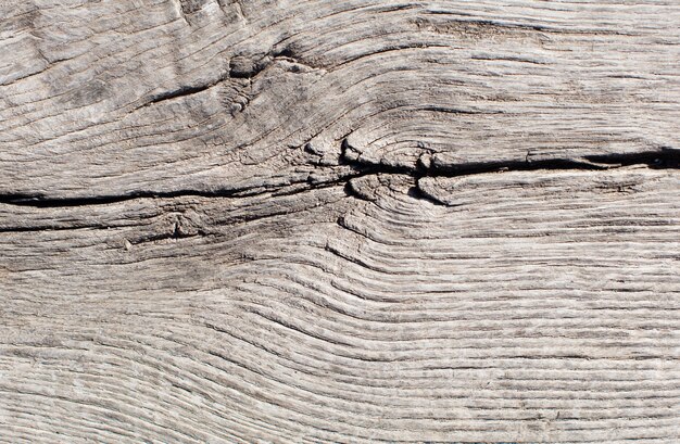 Holz warme Textur