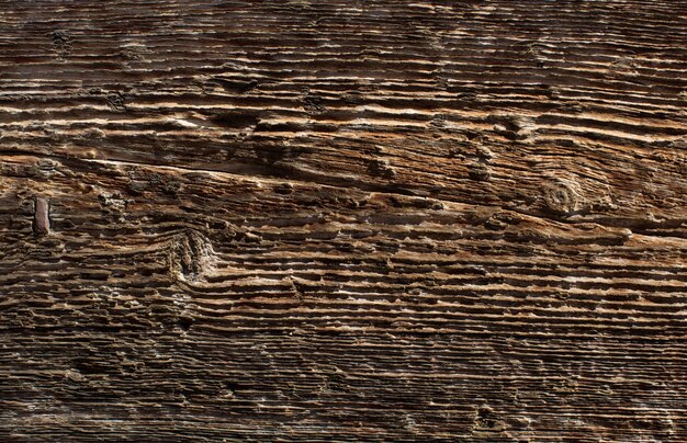 Holz warme Textur