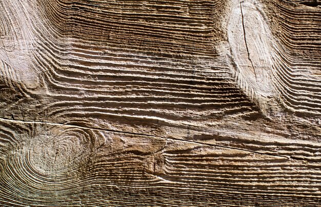Holz warme Textur
