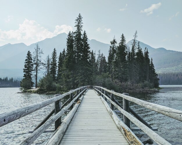 Holzbrücke über das Wasser in Richtung Wald mit Bergen