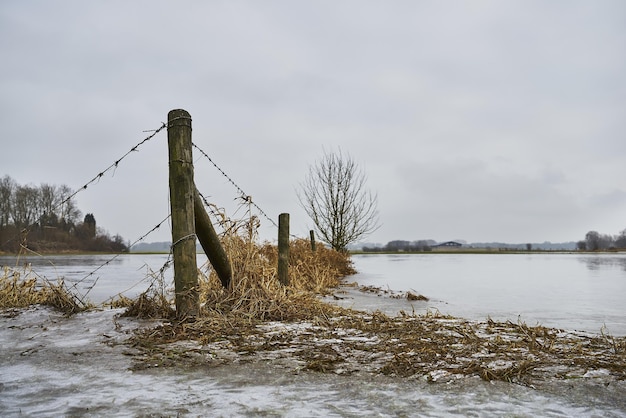 Holzdocks und trockenes Gras in der Nähe des Sees unter dem dunklen bewölkten Himmel