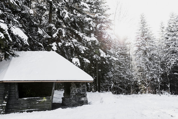 Holzgebäude im Winterwald