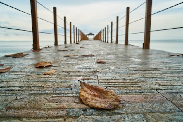 Kostenloses Foto holzhafen im meerwasser