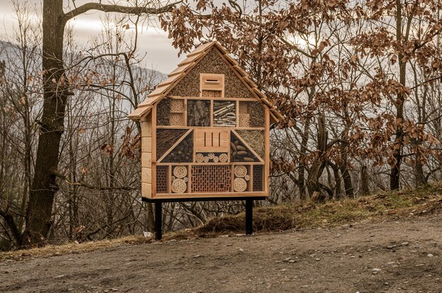 Holzhaus für Bienen und Insekten in einem mit Bäumen bedeckten Wald unter bewölktem Himmel im Herbst