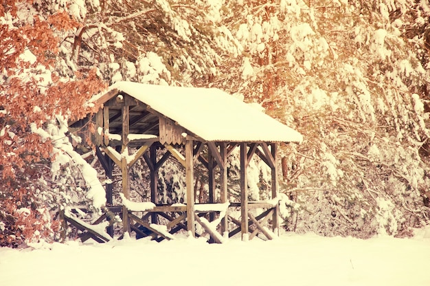 Kostenloses Foto holzhaus mit schnee bedeckt