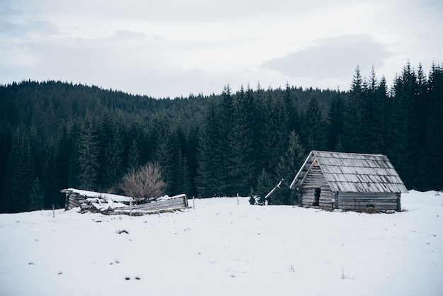 Holzhütte auf schneebedeckten Feld