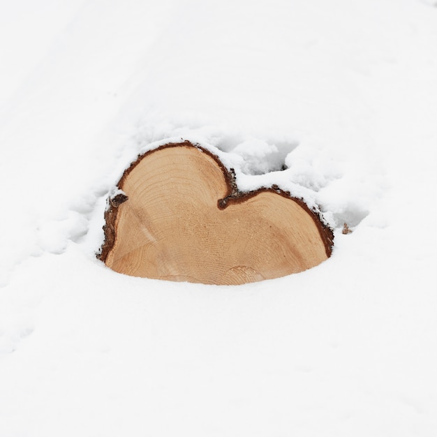 Holzscheite mit Schnee bedeckt