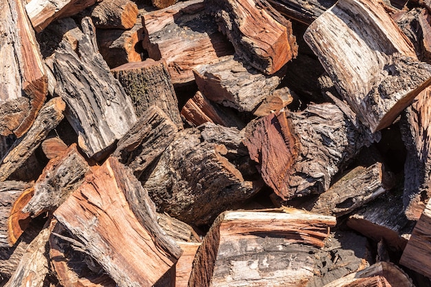 Holzspäne mit Rinde im Freien