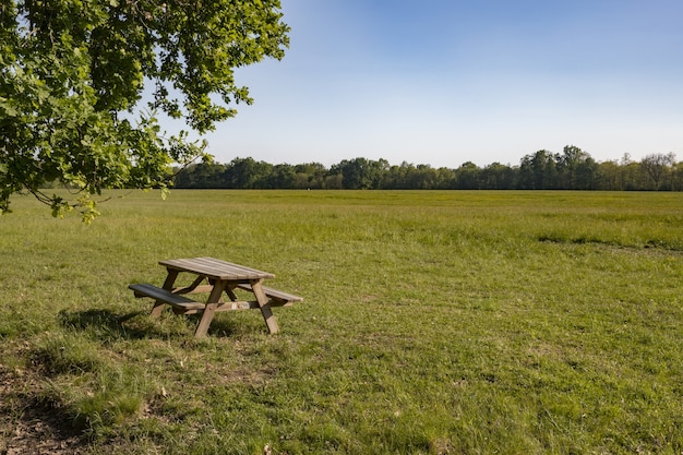 Holztisch und Stühle auf einer grünen Wiese